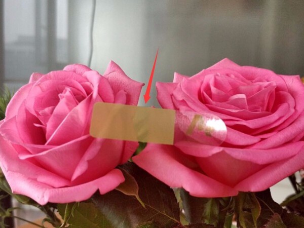 ac659deafa1544b684d6dcba102974fd_3 ac659deafa1544b684d6dcba102974fd_3